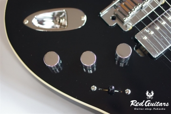Modern Strat RW HH